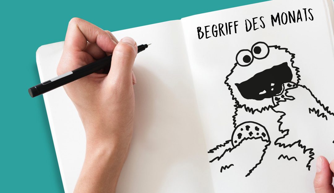 Begriff des Monats Juli: Cookies