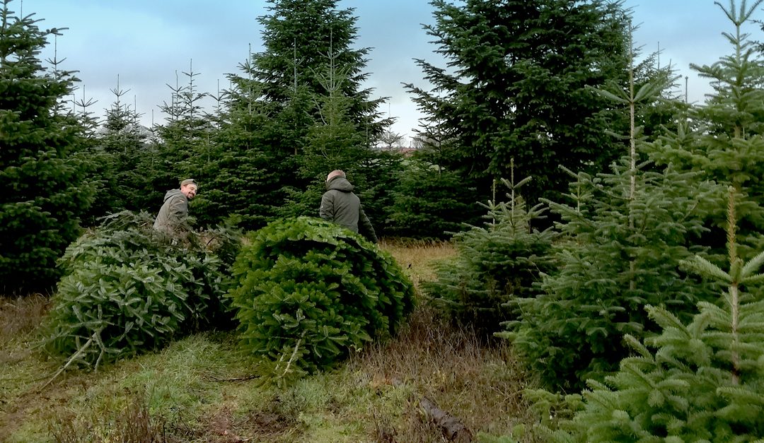 Weihnachtsfeier